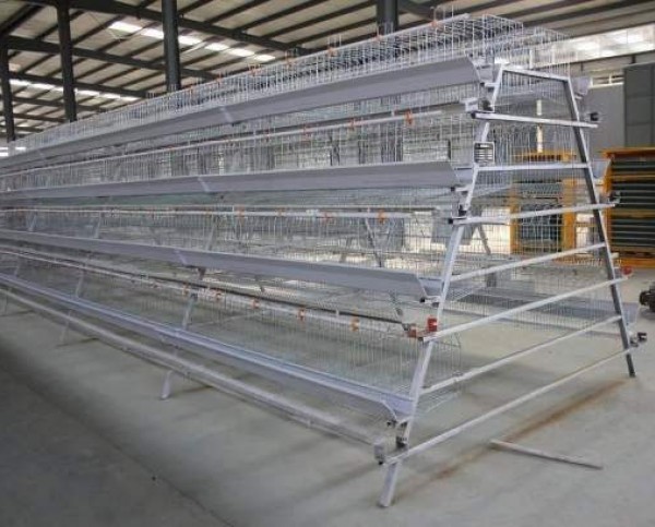 家禽養(yǎng)殖籠具